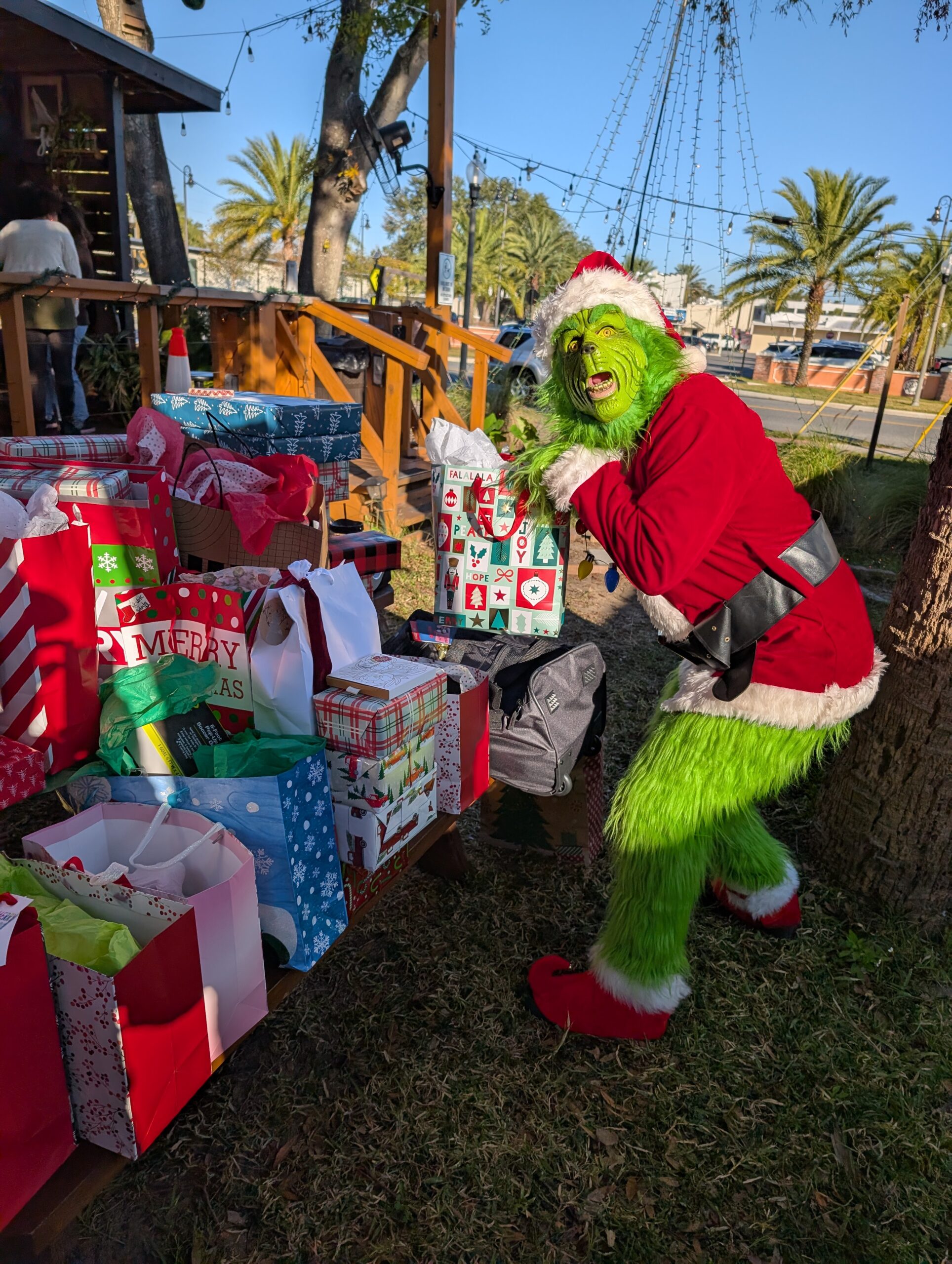 The Grinch tried to steal Christmas. Luckily we caught him in time.